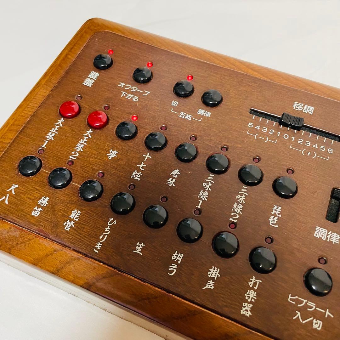 SUZUKI スズキ 和楽 電子大正琴 TES-100