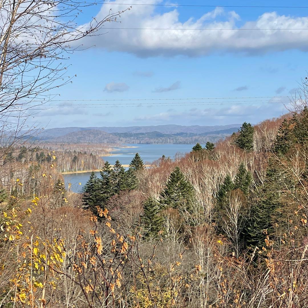 鹿ジャーキー犬用2.８キロ＆鹿ジャーキー犬用 アキレス腱1.２キロ