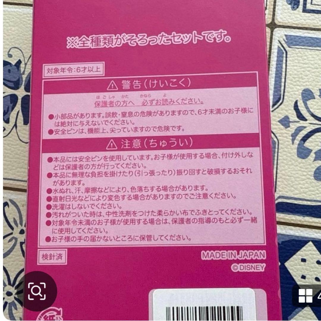ディズニーパルパルーザ　ワッペン　全種　コンプリート　ミニパル