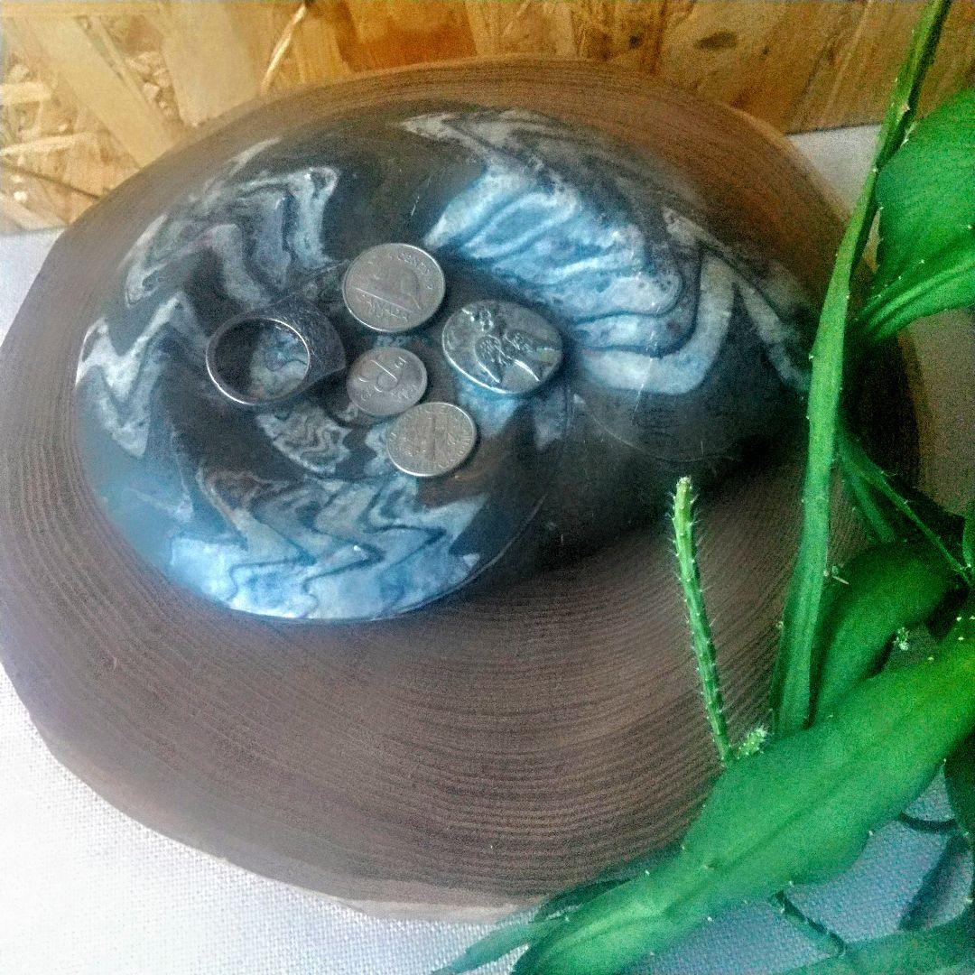 【アンモナイトの祖先】ゴニアタイト 古生代 化石 標本 水晶化 大判 １５cm