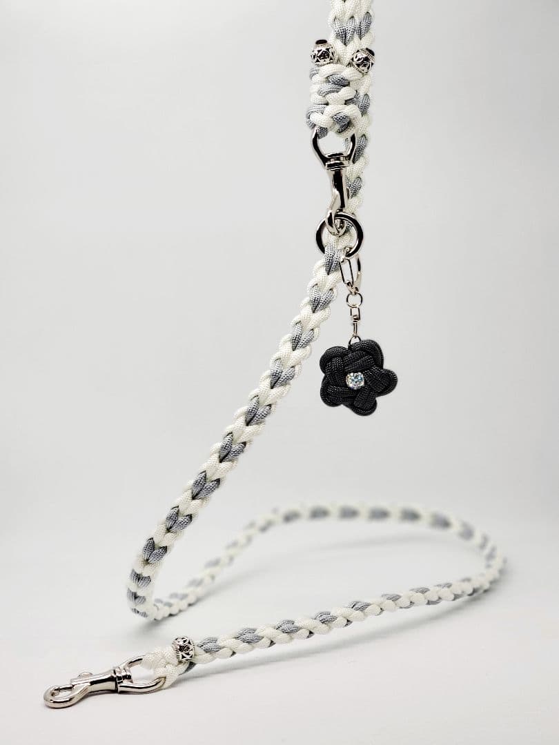 モダンクリアカフェリード