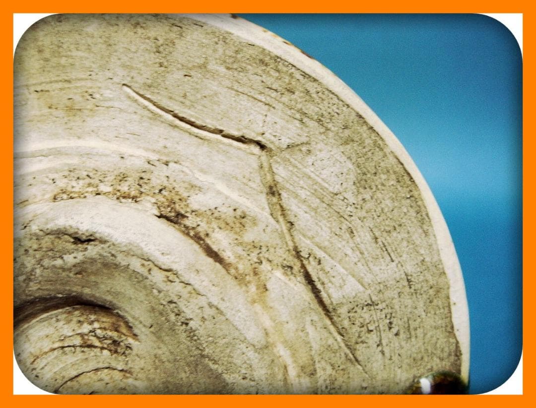 775『織部茶碗 箱付き』九朗　/骨董品 古美術 アンティーク 古玩