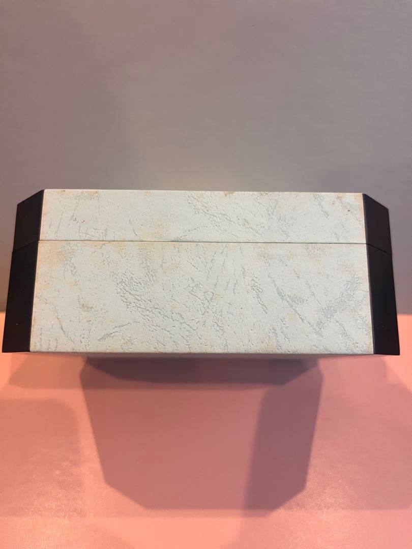 マクロス20th ミリア・ファリーナ・ジーナス機　マクシミリアン・ジーナス機