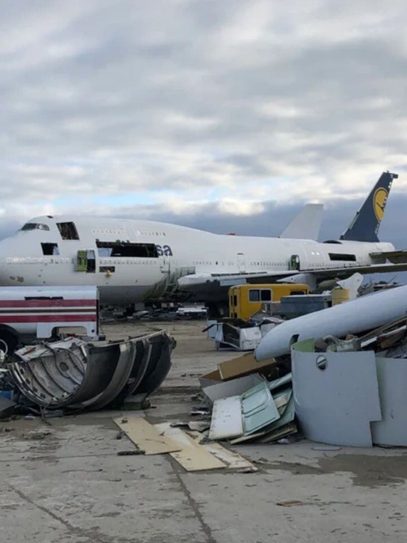 LH Lufthansa Aviationtag B747-400 紺色