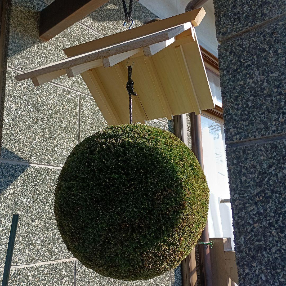 杉玉　直径約37ｃｍ　屋根付き
