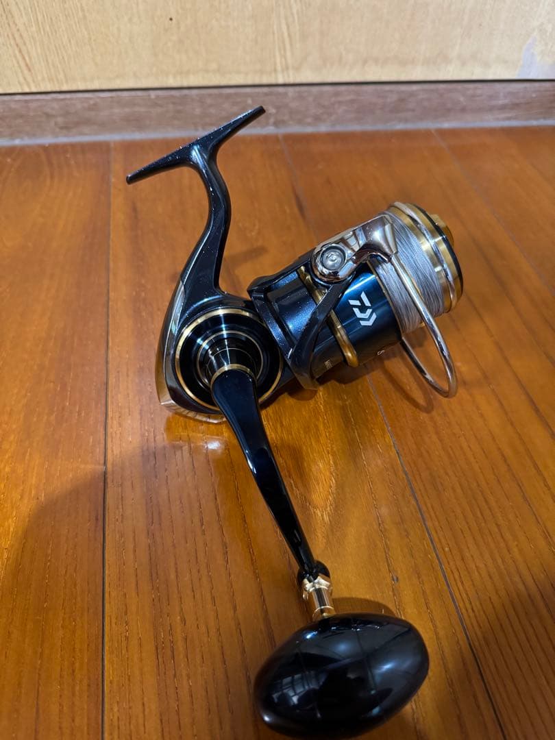 Daiwa 20ソルティガ 8000H
