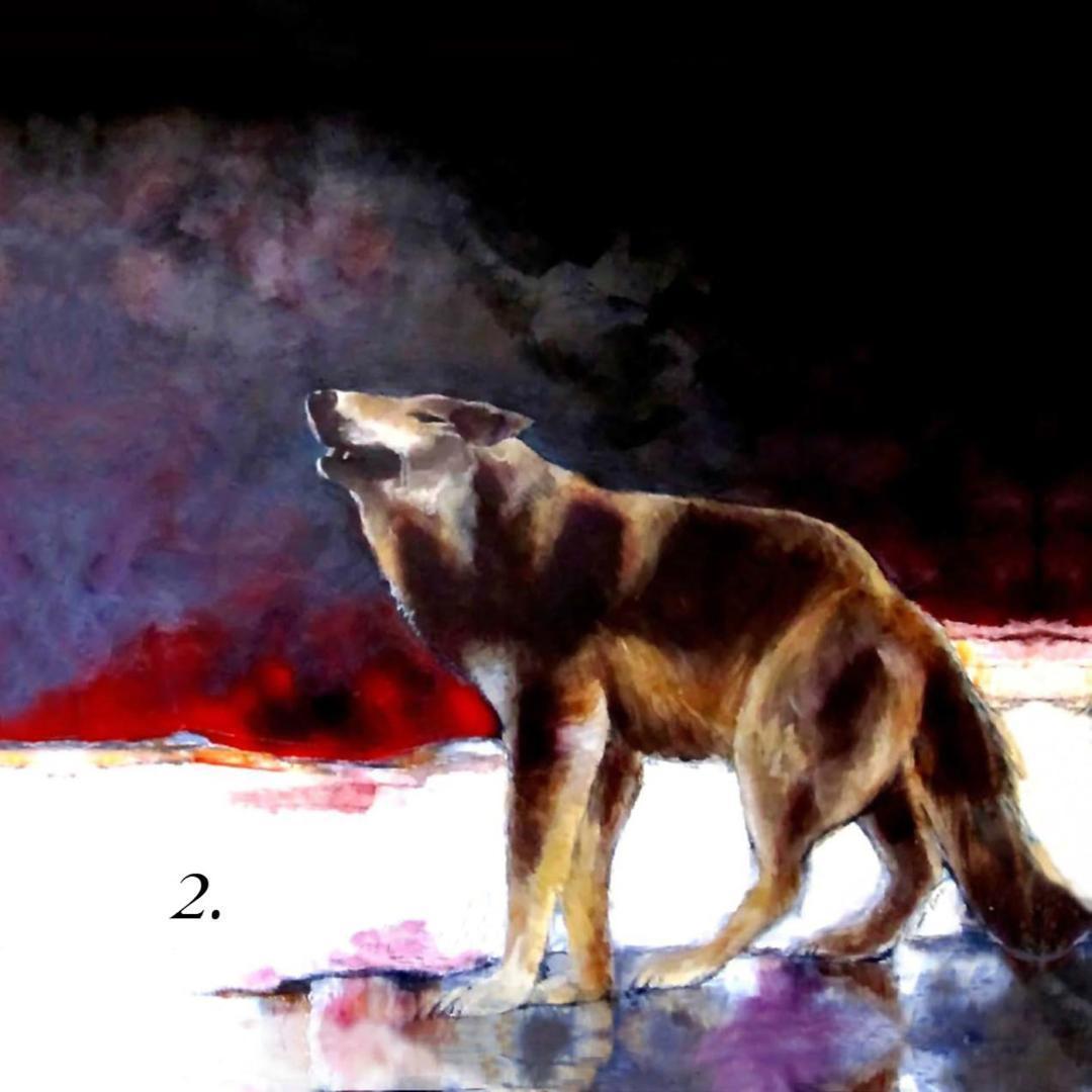 【正規品オラクルカード】激レア✨カナダのアーティスト作✨動物の精霊のデッキ