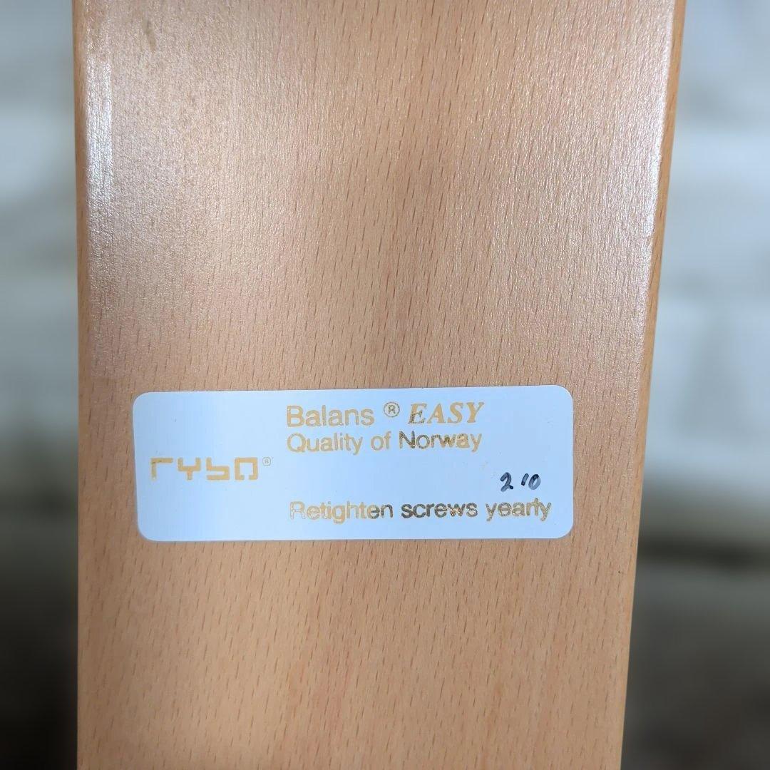 ①Rybo社製 Balans®EASY バランスイージーチェア