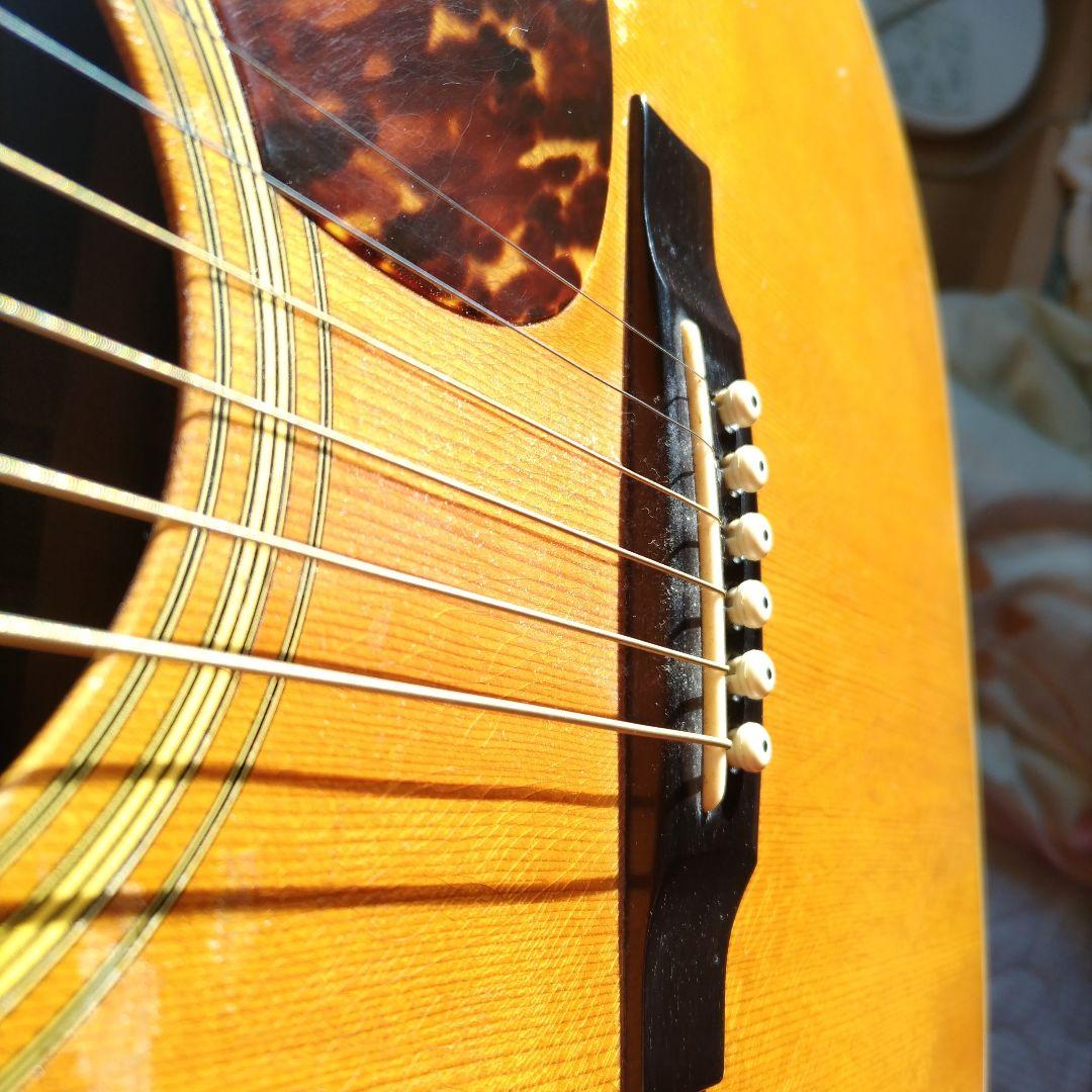 martin D35 1975年製ビンテージ本鼈甲ピックガード ワンオーナー