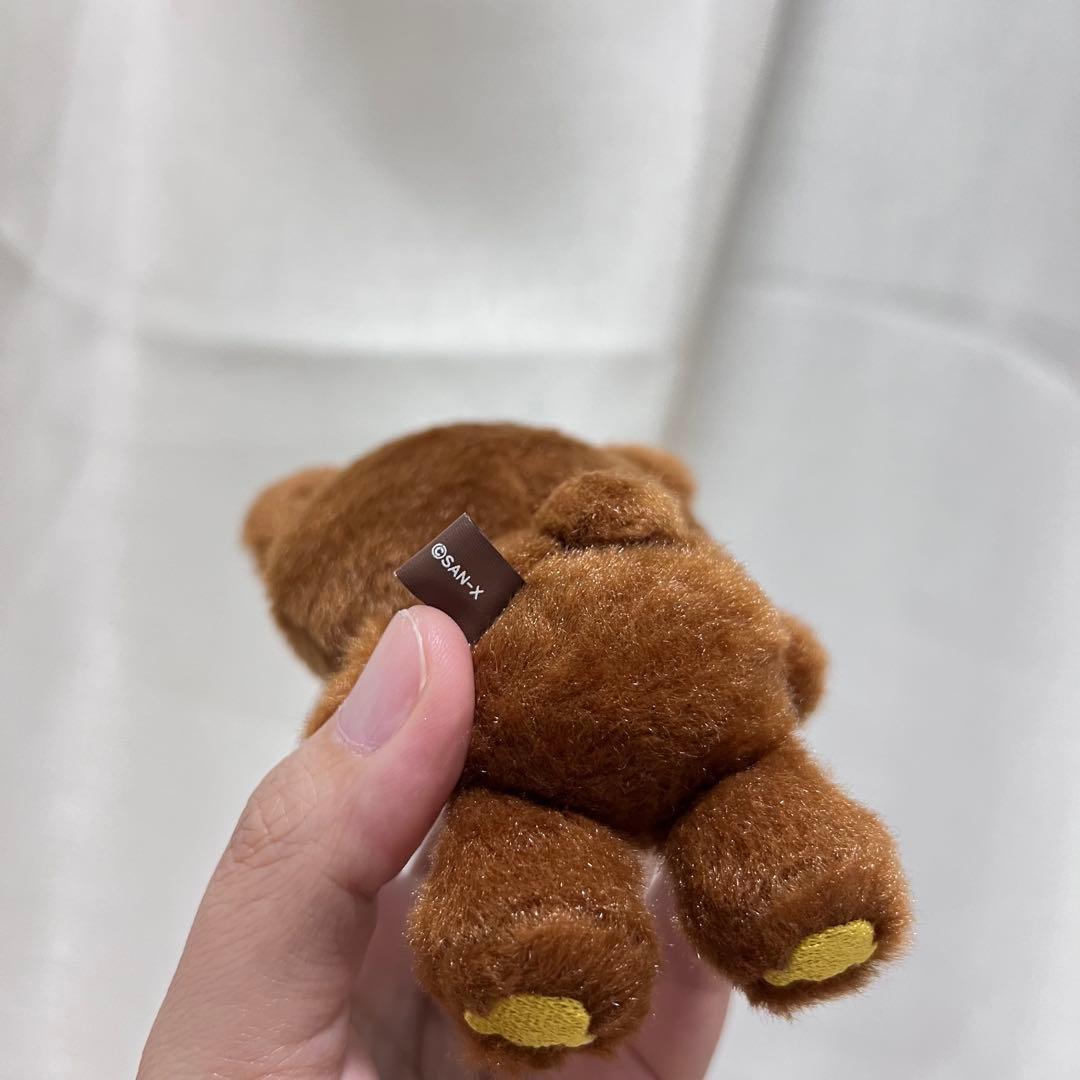 いつでもいっしょリラックマ チャイロイコグマ