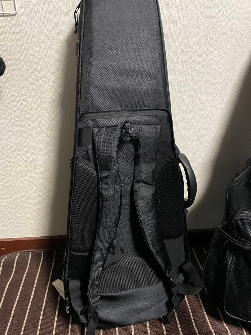 dragonfly Border 666【ギター】