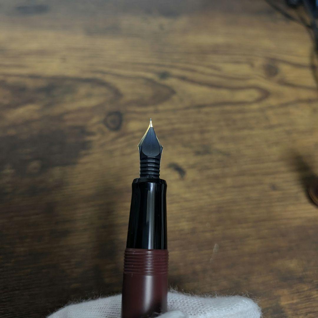 【PILOT廃版】万年筆　カスタム67　F字　14K