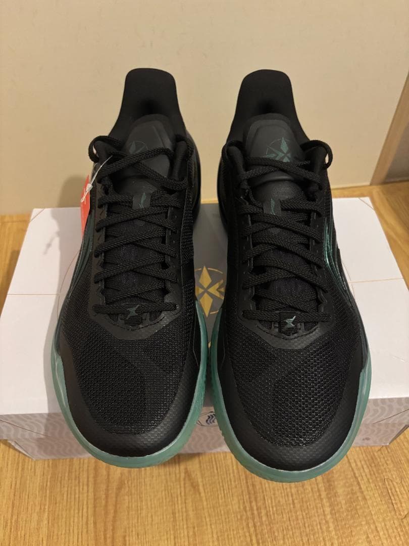 シューズ(男性用) LiNing Liren 5 V2 US11