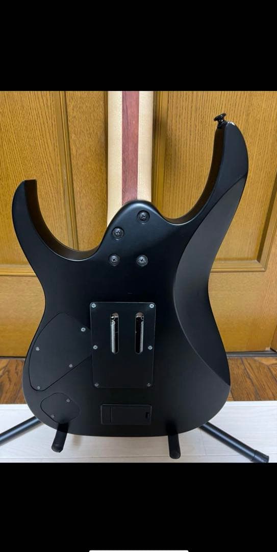 ギター Ibanez Iron Label EMG RGIR30BE