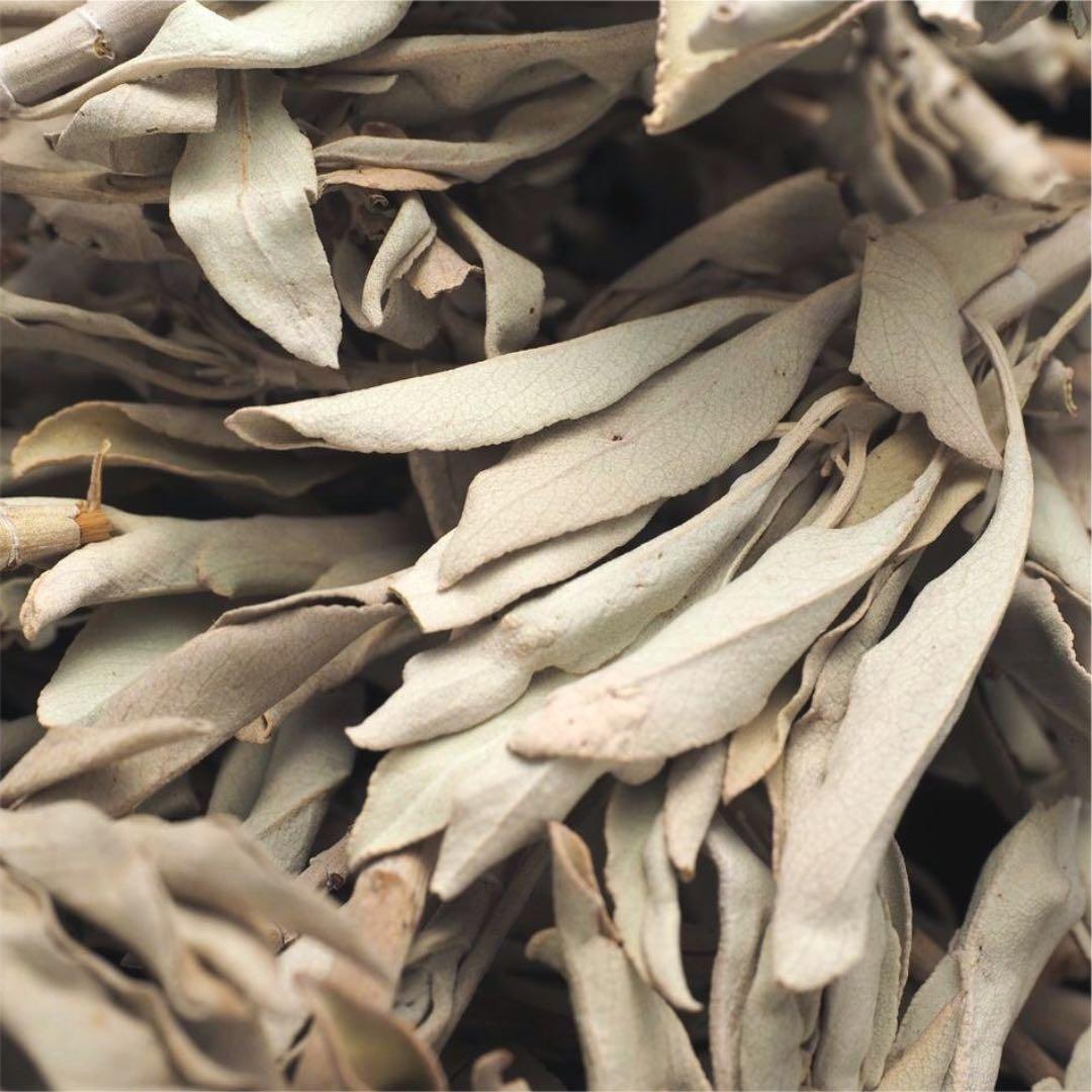 ★特選NEW★無農薬カリフォルニア産【箱配送50g高品質ホワイトセージ】❤️