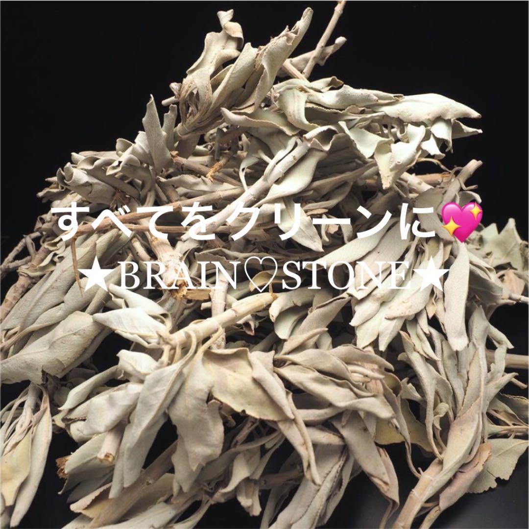 ★特選NEW★無農薬カリフォルニア産【箱配送50g高品質ホワイトセージ】❤️