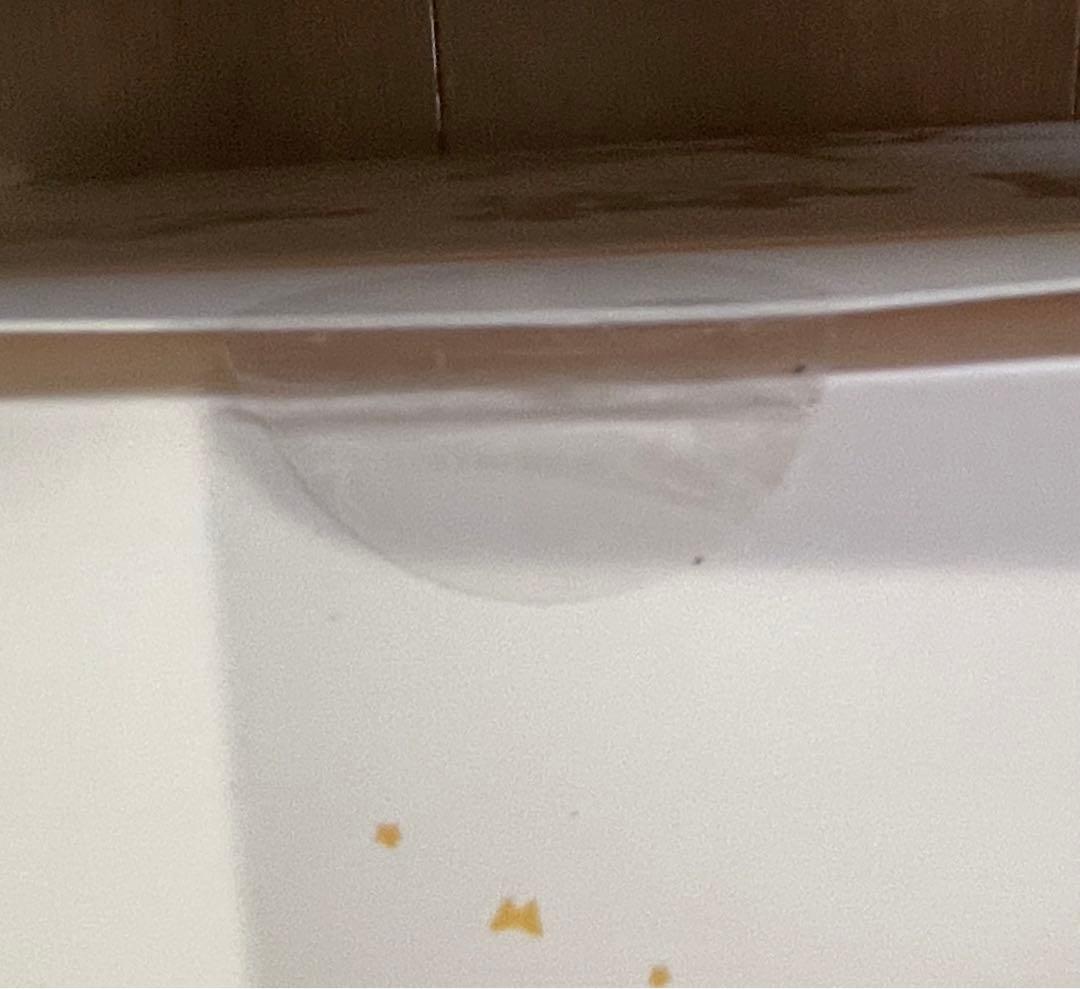 初音ミク　胡蝶姫　海外限定