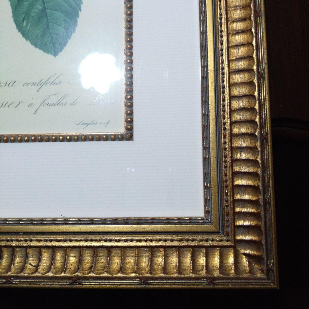 ② ルドゥーテ 絵額 レ ローズ バラ図譜 フォリオ判 ゴールドフレーム 額絵