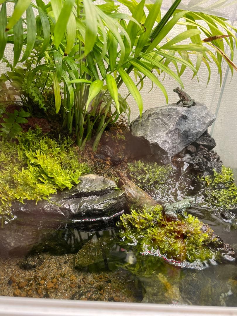 【受注生産】 アクアテラリウム　45センチ水槽