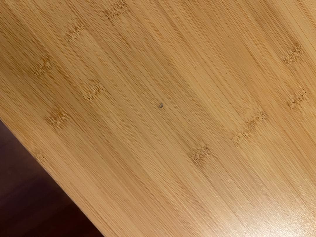 スノーピーク　ワンアクションテーブルロング竹　　LV-015TR