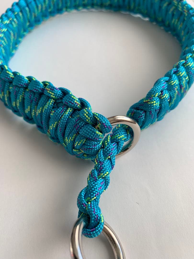 REXページ　大型犬用　コンチョ付ハーフチョーク　2本