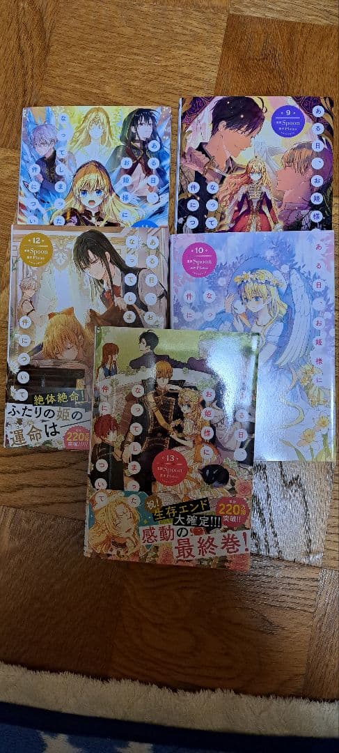 ある日お姫様になってしまった件について1ー13巻完結