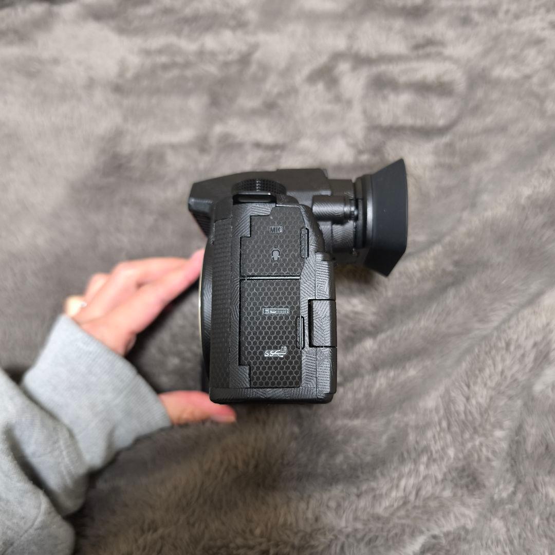 LUMIX S5Ⅱ ダブルレンズキット