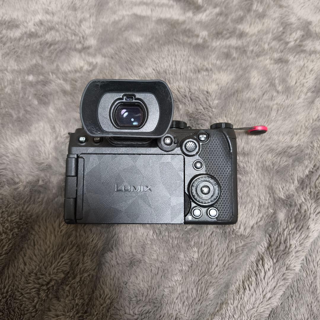 LUMIX S5Ⅱ ダブルレンズキット