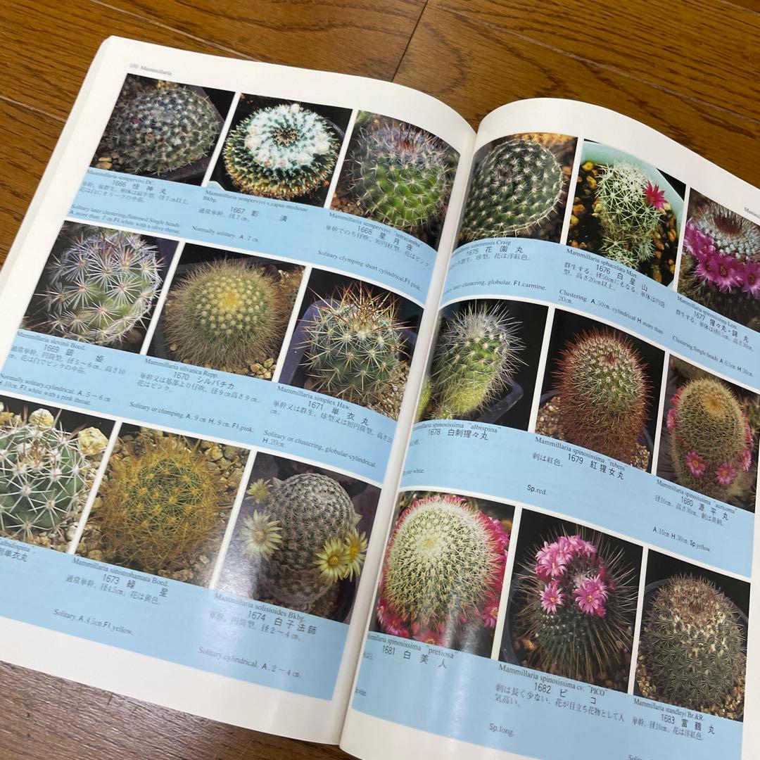 原色サボテン事典 佐藤 勉 1996年