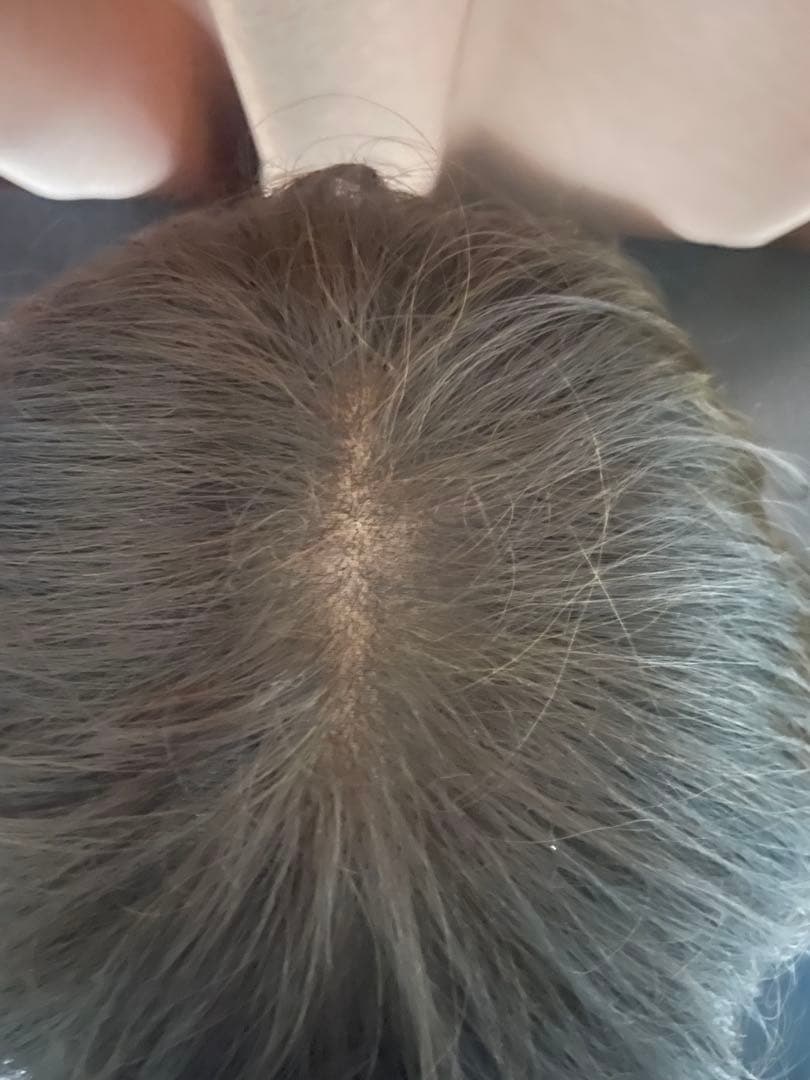 専用です　FONTAINE ウィッグ