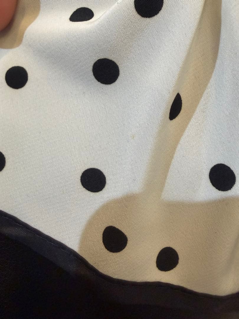 セツコサジテール　ピクニック