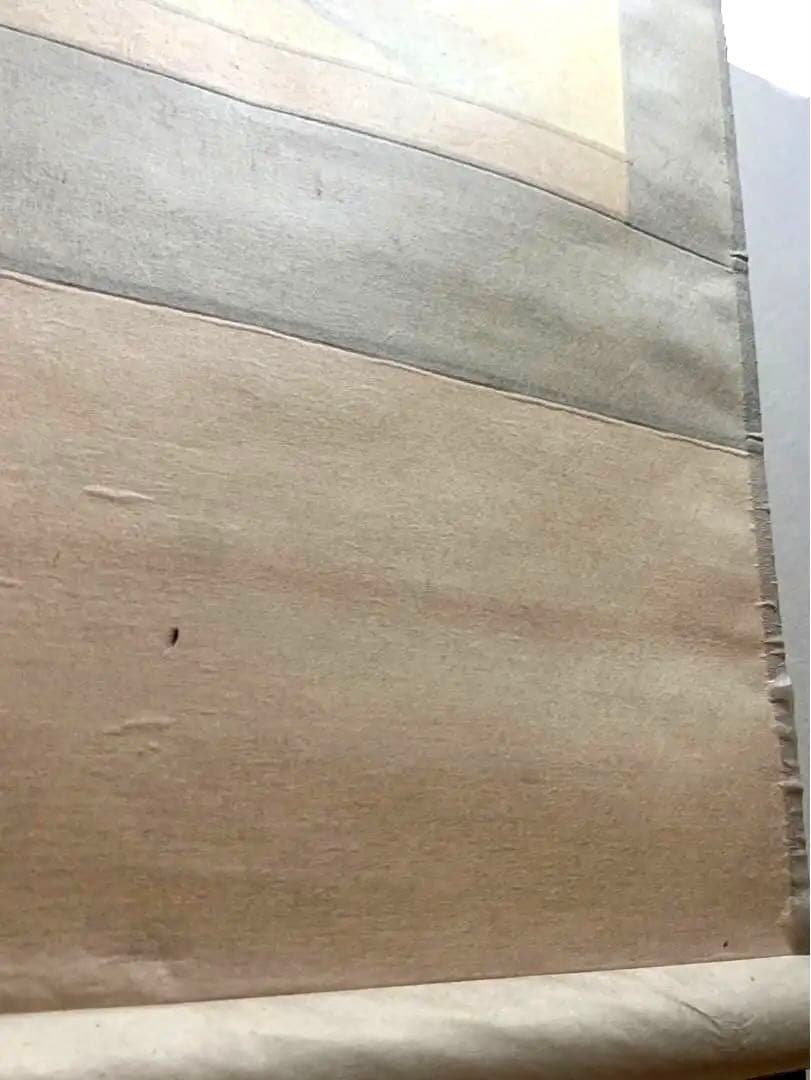 掛け軸 紫雲 猛虎図 絹本 希少 軸装 茶道具　インテリア