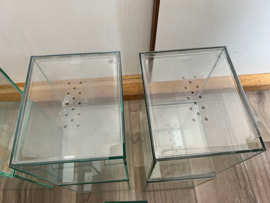 【引取り優先】ベタガラス水槽 GEXグラステリア コトブキレグラス セット