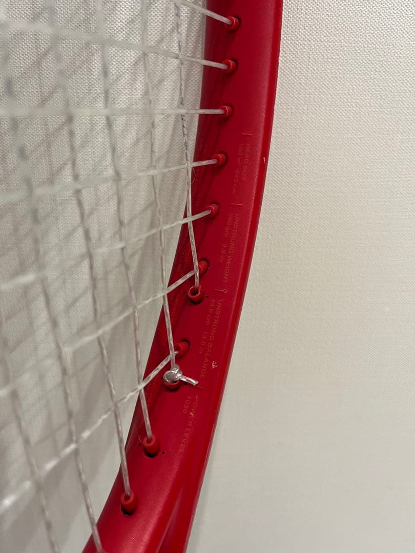 プリンス ビースト100 27インチ