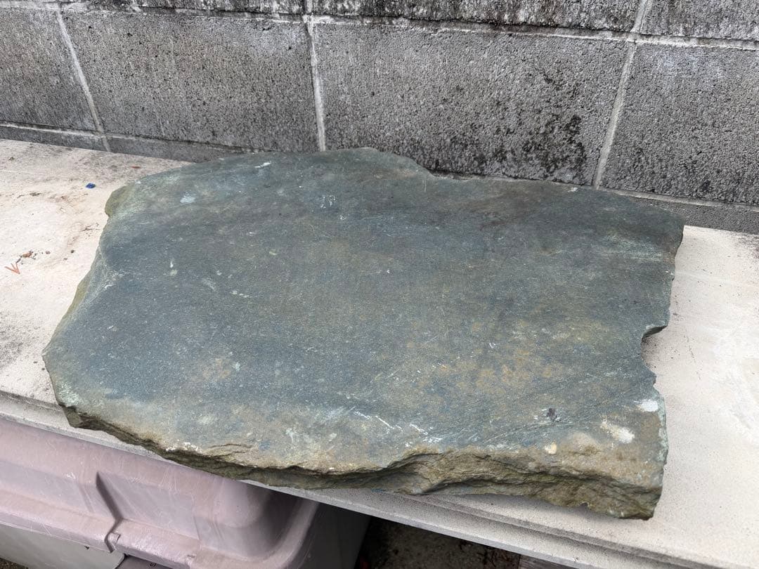 伊予石　青石　四国　平石　大型　鑑賞石　自然石　付け石　鞍馬　龍眼　竜岩　盆栽
