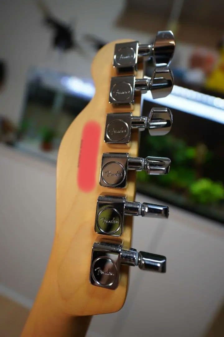 ギター Fender Player Telecaster