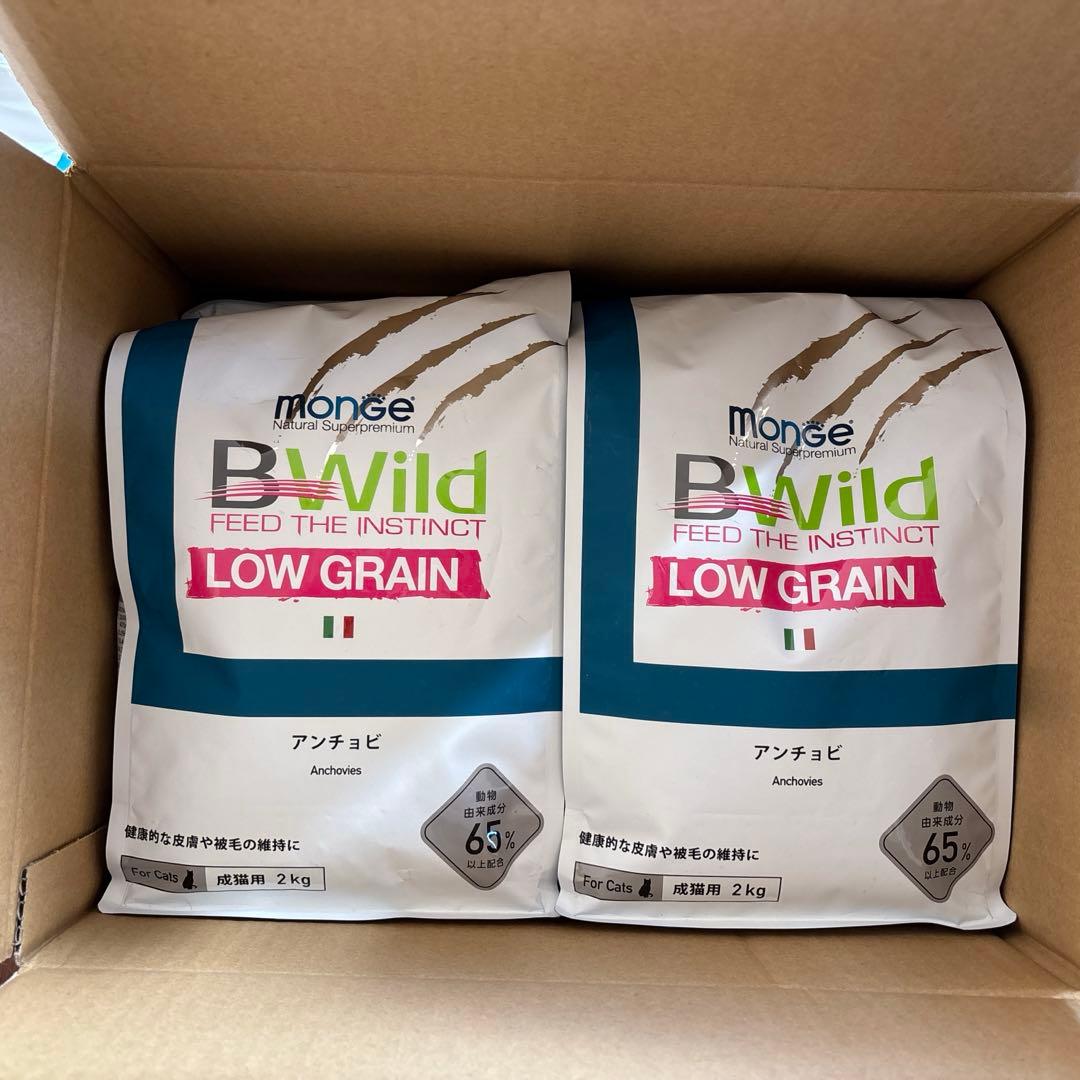 キャットフード成猫用BWild アンチョビ　8kg賞味期限2027年3ー4月