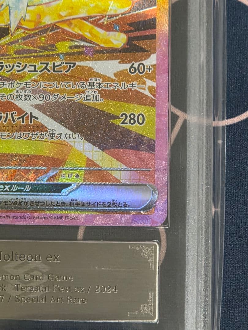 【ARS10+】サンダースex SAR テラスタルフェスex