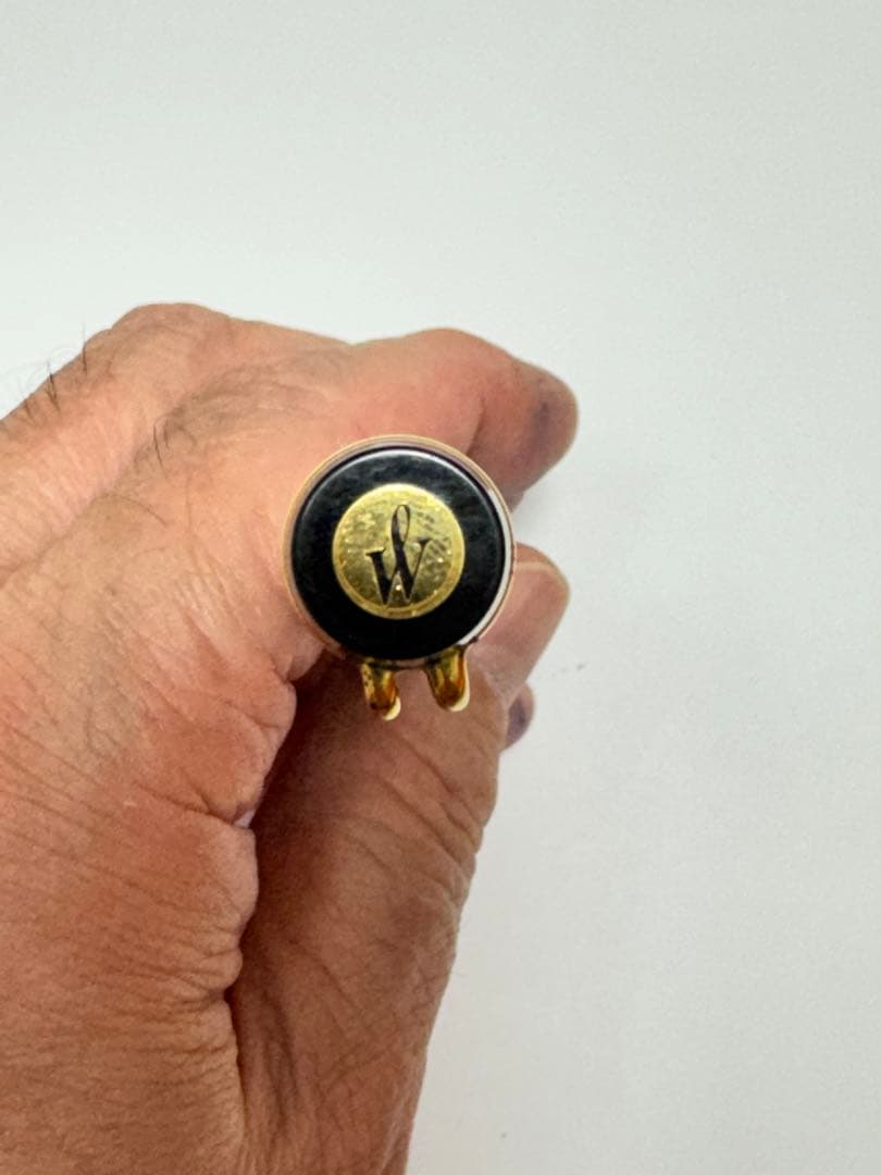 ウォーターマン 万年筆 ルマン100 ペン先 F(細字)