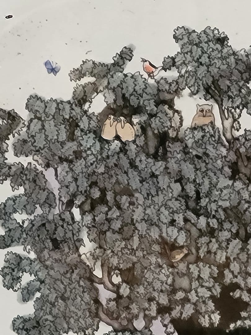 グラハムクラーク★「ちいさなどんぐりから」 192/300部★銅版画彩色