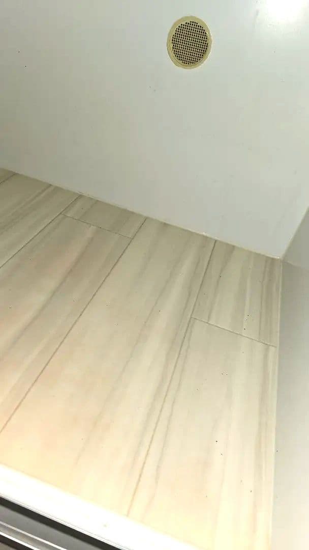 フトアゴ飼育セット