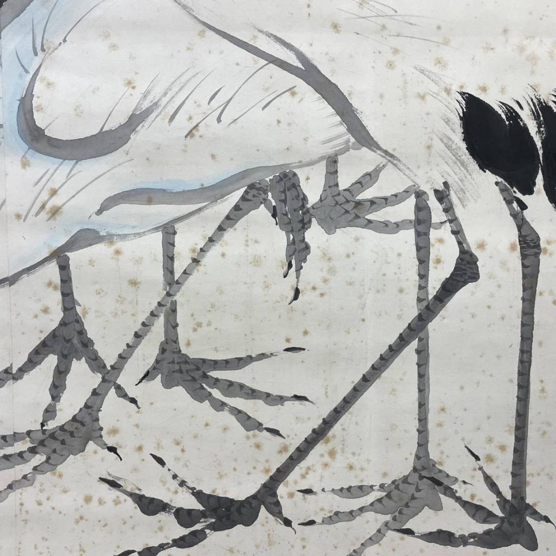 真作/光観/群れ鶴図/鶴/超大幅/布袋屋掛軸A-576