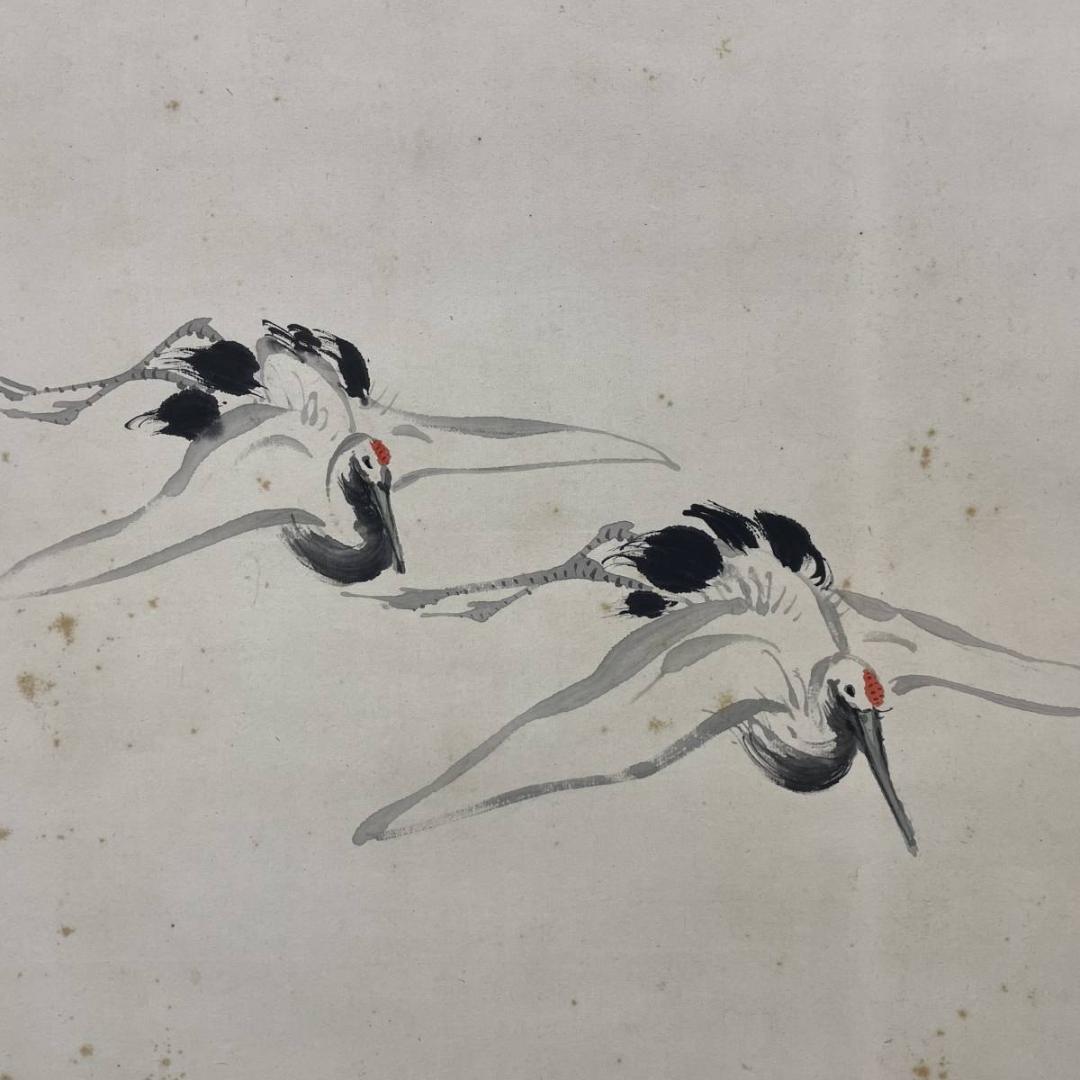 真作/光観/群れ鶴図/鶴/超大幅/布袋屋掛軸A-576