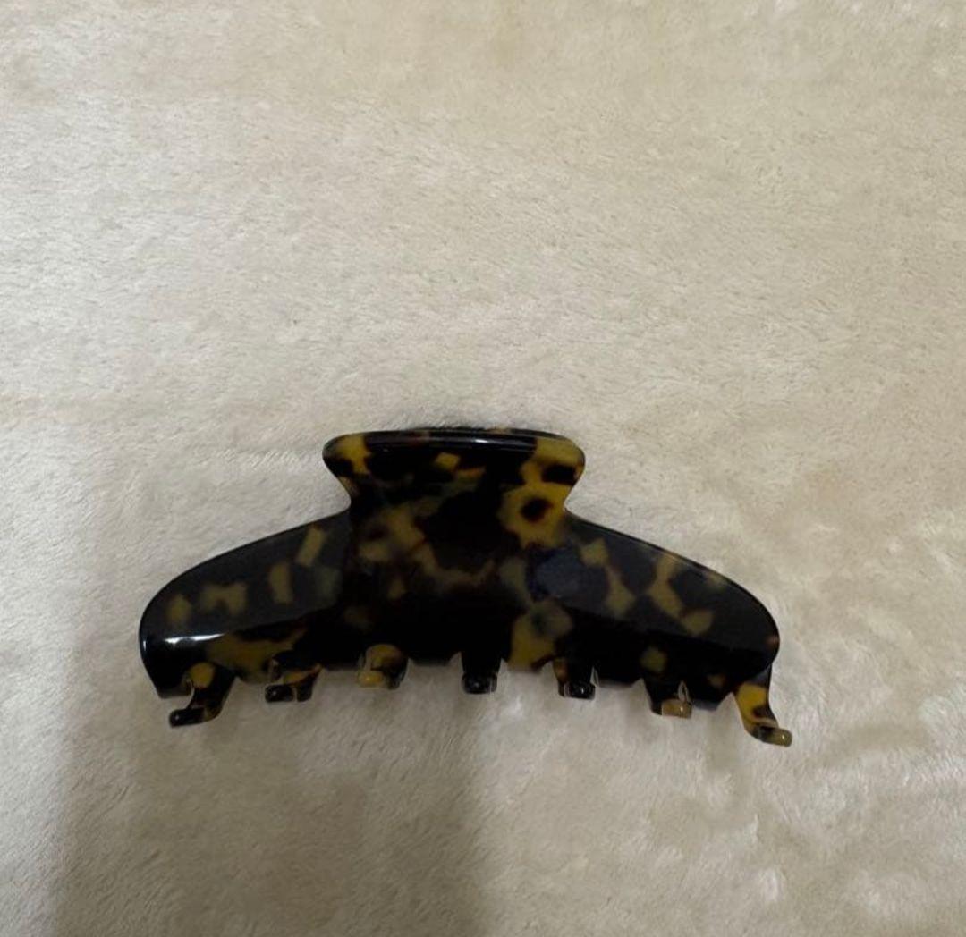 お値下げ交渉可　アレクサンドルドゥパリ　Lクリップ