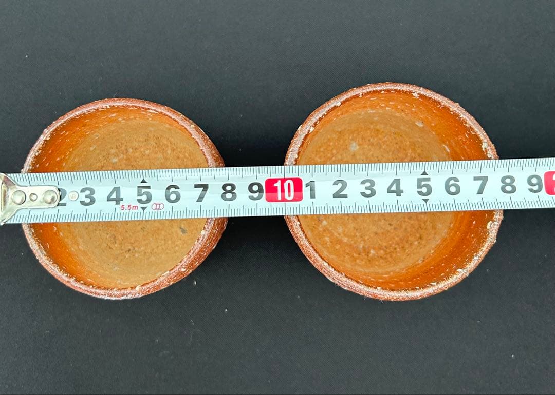 信楽焼　湯のみ　高橋楽斎　木箱付き