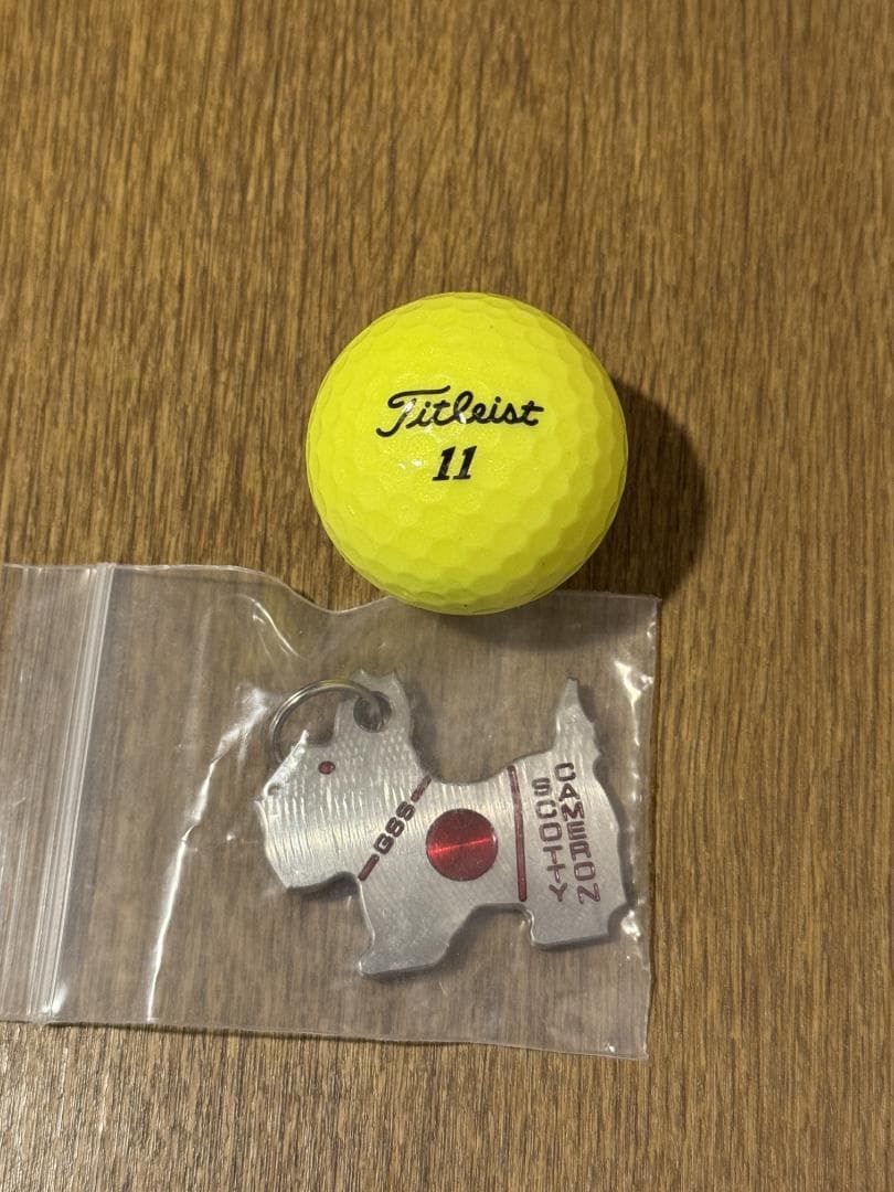 Scotty Cameron GSS マーカー