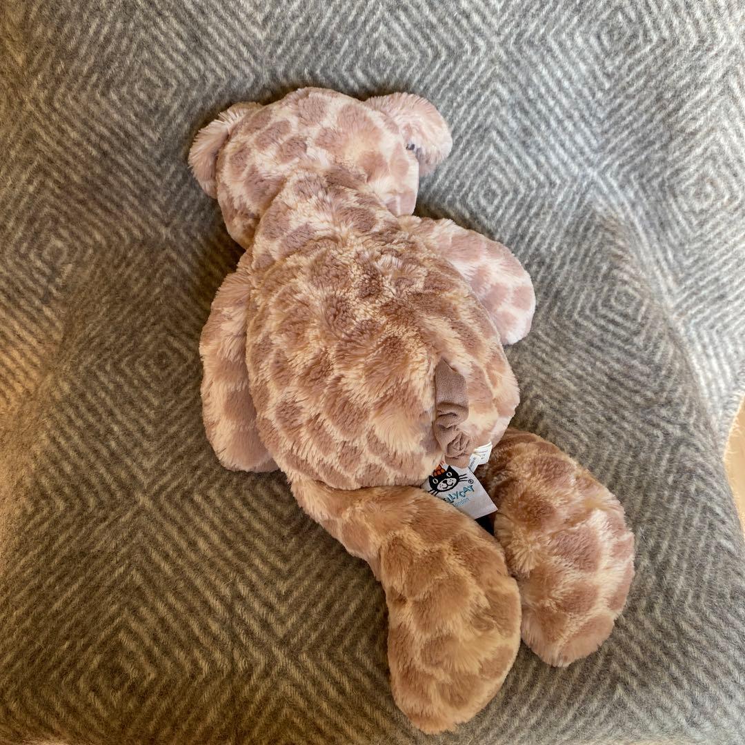 レア　ジェリーキャット　 豚　ぬいぐるみ