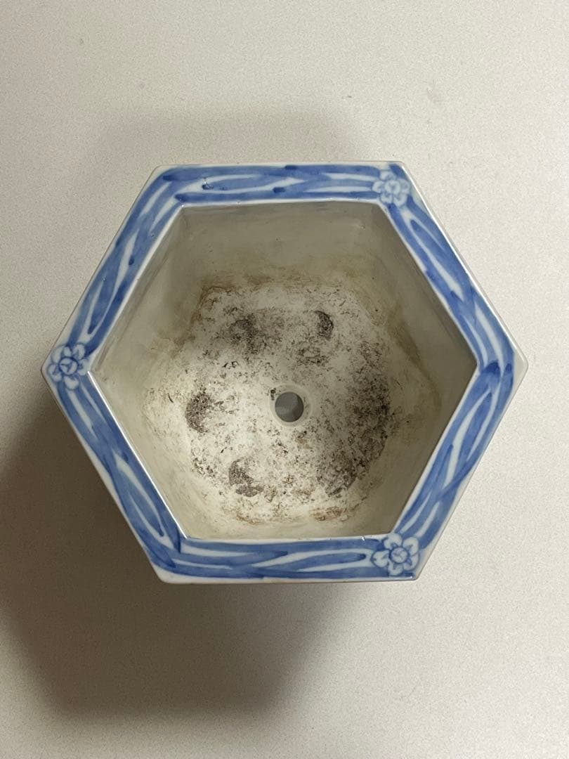 蘭鉢　盆栽鉢　植木鉢　陶芸　園芸　盆栽