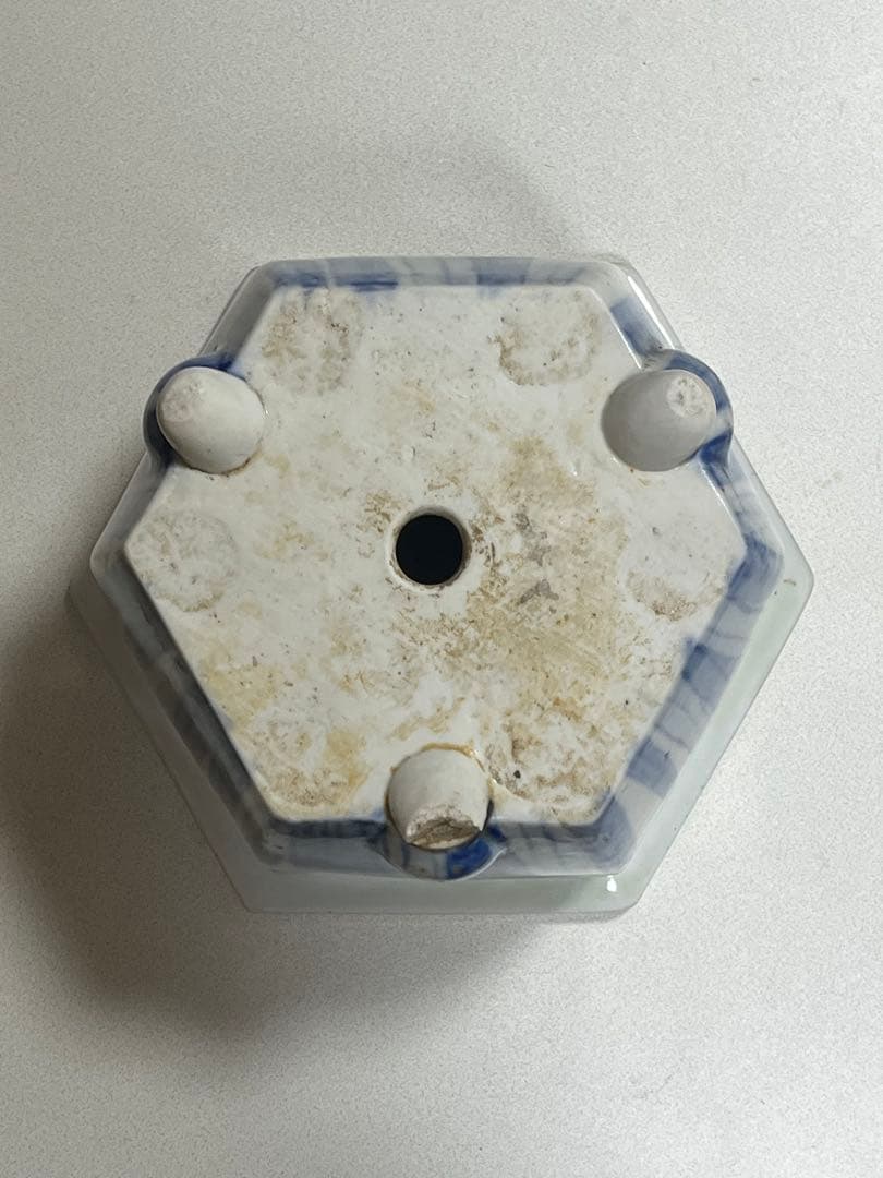 蘭鉢　盆栽鉢　植木鉢　陶芸　園芸　盆栽