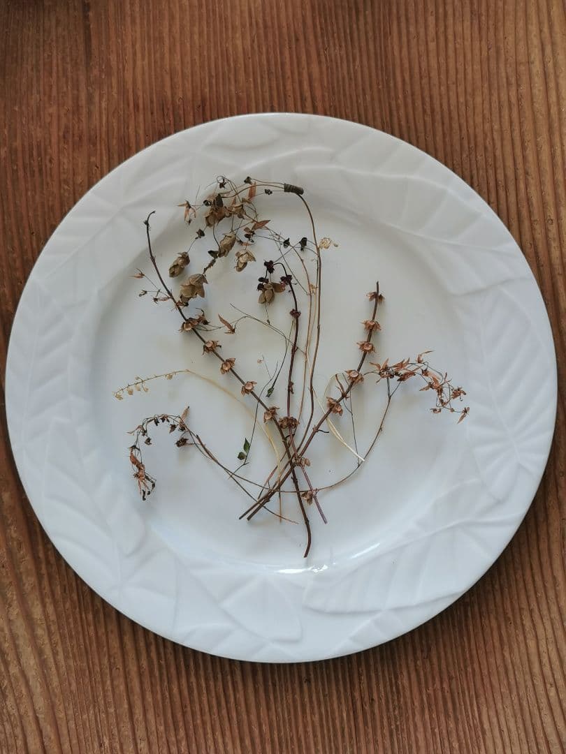 アンティーク/ヴィンテージ 仏リモージュ リーフレリーフ 30㎝ディナープレート